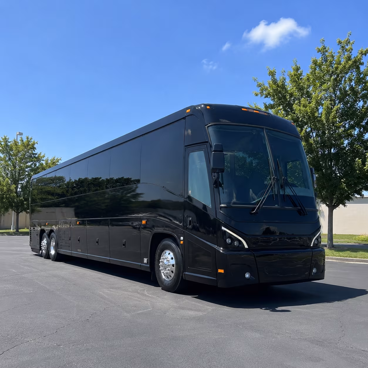 paterson book reliable school field trip bus service in paterson