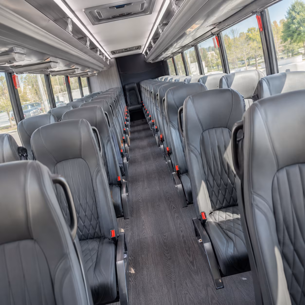 the bronx wedding bus rentals for small and large celebrations