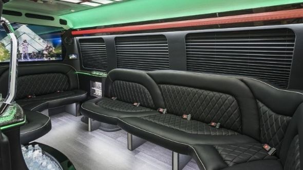 mount vernon sprinter limo rental inside
